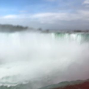 Meet your Posher, Kimmy